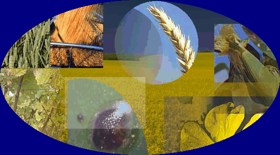 Vous devez cliquer pour entrer