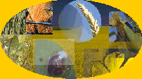 Le site des agronomes apprentis